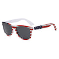 Polarised Square Aviator Sunglasses WGSG2140P