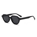 Fashion Retro Large Round Polarised PC Sunglasses WGSG3534