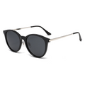 Retro Metal Dual-Purpose Polarised Sunglasses WGSG3582