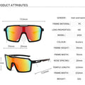Cycling Outdoor UV Protection Goggles WGSP9901
