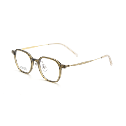 Fashion PPSU & Titanium Glasses WGXH16100X-WOOglasses