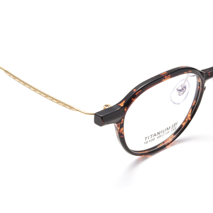 Fashion PPSU & Titanium Glasses WGXH16106X-WOOglasses