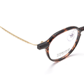 Fashion PPSU & Titanium Glasses WGXH16106X-WOOglasses