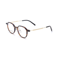 Fashion PPSU & Titanium Glasses WGXH16106X-WOOglasses