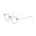Fashion PPSU & Titanium Glasses WGXH16106X-WOOglasses