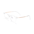 Fashion PPSU & Titanium Glasses WGXH16107X-WOOglasses