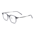 Fashion PPSU & Titanium Glasses WGXH16110X-WOOglasses