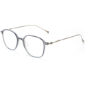 Classic Titanium Glasses WGXH8641TJ-WOOglasses
