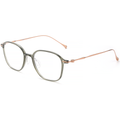 Classic Titanium Glasses WGXH8641TJ-WOOglasses
