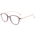 Classic Titanium Glasses WGXH8641TJ-WOOglasses
