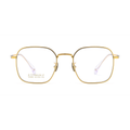 Classic Titanium Glasses WGXH95966T-WOOglasses