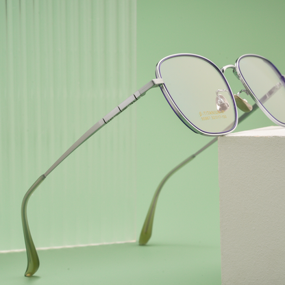 Classic Titanium Glasses WGXH95967T-WOOglasses