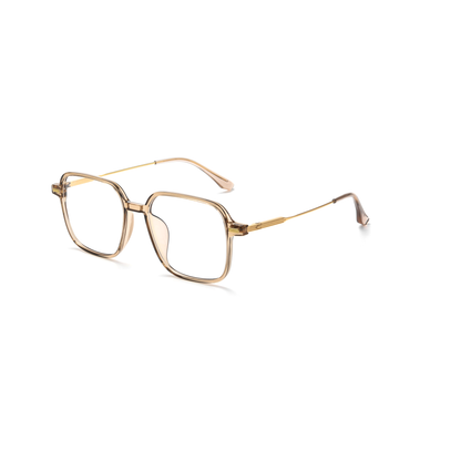 Retro TR & Titanium Glasses WGXHB98007F-WOOglasses