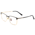 Classic Titanium Glasses WGXHR7906T-WOOglasses