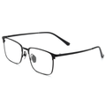 Classic Titanium Glasses WGXHR7906T-WOOglasses