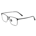 Classic Titanium Glasses WGXHR7906T-WOOglasses