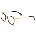 Classic Metal Glasses WGXHRA7910T-WOOglasses